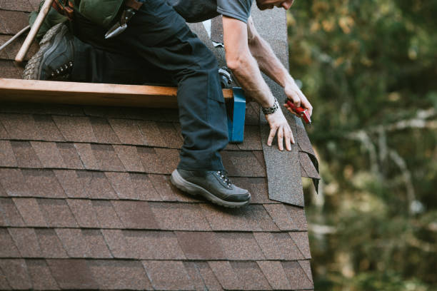 Best Roof Gutter Cleaning  in Indian Head, MD
